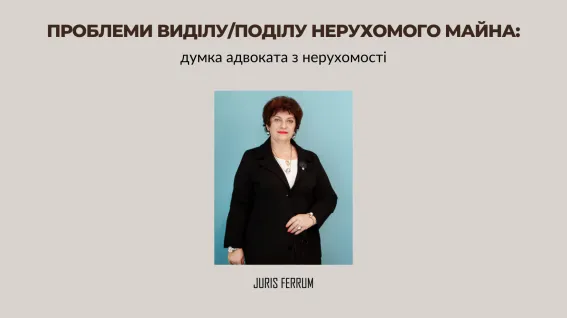 Проблеми виділу/поділу нерухомого майна: думка адвоката з нерухомості